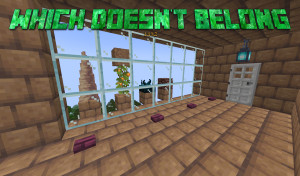Télécharger Which Doesn't Belong: 1.19.2 1.0.1 pour Minecraft 1.19.2