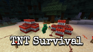 Télécharger TNT Survival 1.0 pour Minecraft 1.19