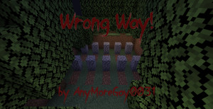 Télécharger Wrong Way 1.0 pour Minecraft 1.18.2