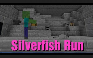 Télécharger Silverfish Run pour Minecraft 1.13.1