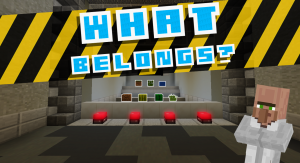 Télécharger What Belongs? pour Minecraft 1.13.2
