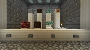 Télécharger What to Replace pour Minecraft 1.13.2