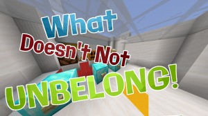 Télécharger What Doesn't Not Unbelong! pour Minecraft 1.14.1