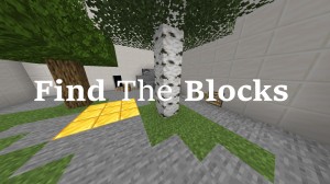 Télécharger Find The Blocks pour Minecraft 1.14.4