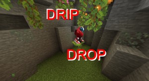Télécharger Drip Drop pour Minecraft 1.17