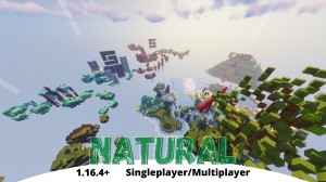 Télécharger Natural pour Minecraft 1.16.4