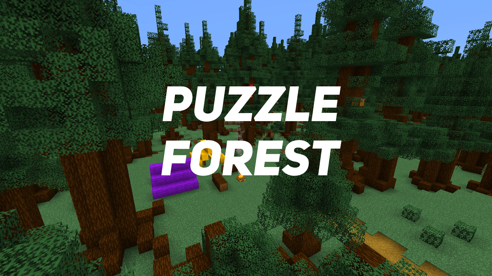 Télécharger Puzzle Forest pour Minecraft 1.16.5