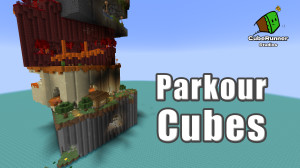 Télécharger Parkour Cubes 1.0 pour Minecraft 1.20.2