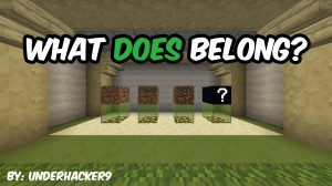 Télécharger What "DOES" Belong 1.0 pour Minecraft 1.20.2