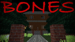 Télécharger Bones pour Minecraft 1.20.6