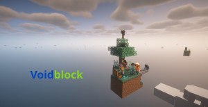 Télécharger Voidblock - Skyblock pour Minecraft 1.20.6