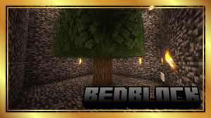 Télécharger BedBlock pour Minecraft 1.21.5